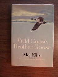 Wild goose brother goose