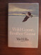 Wild goose brother goose