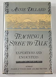 Teaching a Stone to Talk