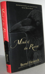 Mind of the Raven