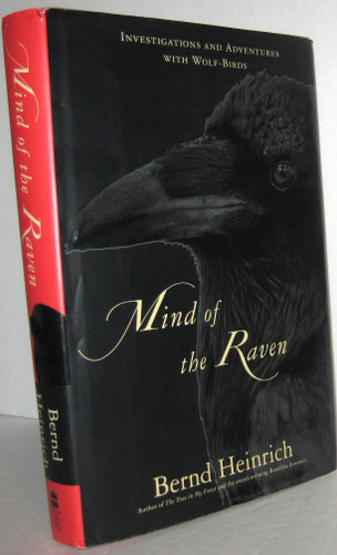 Mind of the Raven