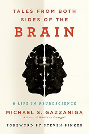 Tales from Both Sides of the Brain