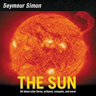 The Sun: Revised Edition