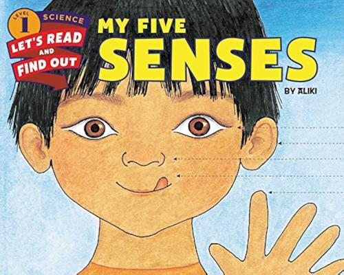 My Five Senses
