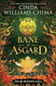 The Runestone Saga: Bane of Asgard The Runestone Saga: Bane of Asgard