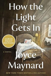 How the Light Gets In: A Novel
