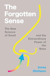 The Forgotten Sense