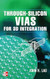 Through-Silicon Vias for 3D Integration