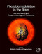 Photobiomodulation in the Brain