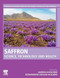 Saffron: Science Technology and Health