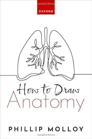 How To Draw Anatomy