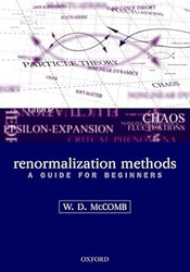 Renormalization Methods