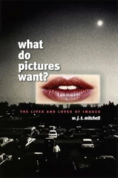 What Do Pictures Want?