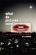 What Do Pictures Want?