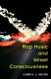 Rap Music and Street Consciousness