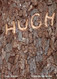Hugh Hayden: American Vernacular