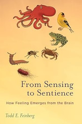 From Sensing to Sentience