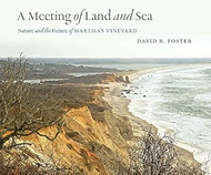A Meeting of Land and Sea
