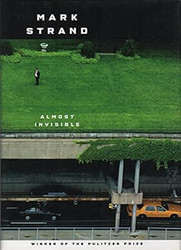 Almost Invisible: Poems
