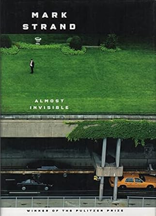 Almost Invisible: Poems