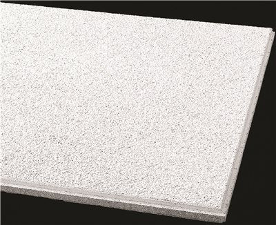 Armstrong Acoustical Ceiling Tile 589b Cirrus Humiguard