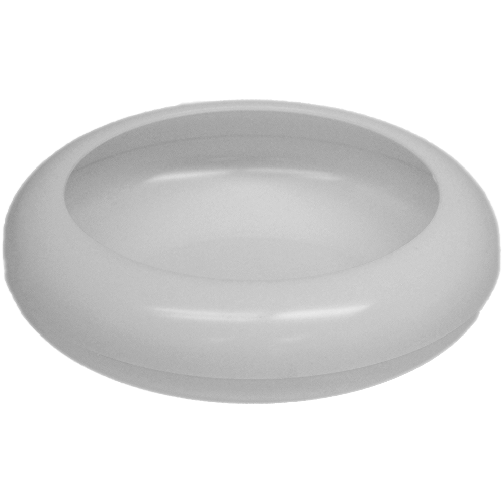 white frisbee