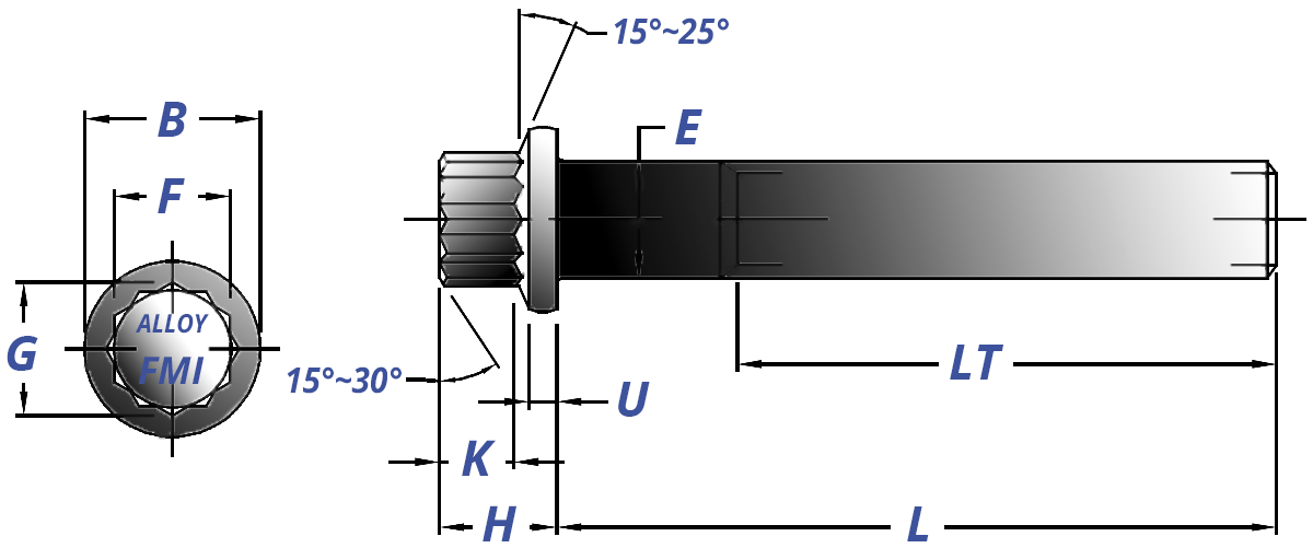 12 Point Flange Screw Drawing