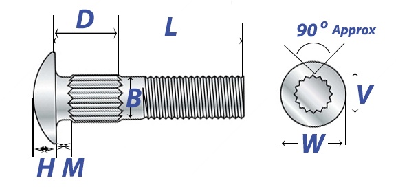 Carriage Bolt Sizes Chart