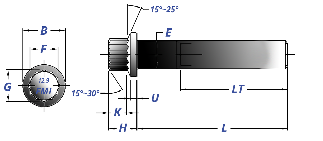 Metric 12 Point Flange Screw Drawing