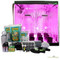 6.5x6.5ft LED Soil Complete Indoor Grow Tent System