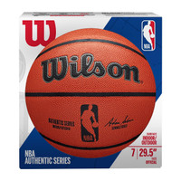 Ben Wallace Autographed Wilson I/O Basketball (Show Pre-Order)