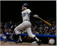Alan Trammell Autographed 8x10 Photo #1 - 84 World Series HR (Show Pre-Order)
