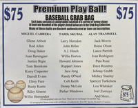 Premium Play Ball! Autographed Mystery Baseball Grab Bag