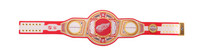 Detroit Red Wings WWE Legacy Title Belt