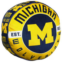 University of Michigan 15" Cloud Throw Pillow - Blue