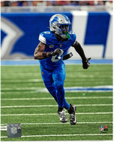 Terrion Arnold Unsigned 8x10 Photo