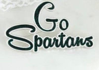 Seasons Jewelry Michigan State Slogan Pin