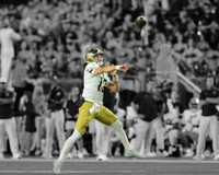 C.J. Carr Autographed 16x20 Photo #1 - Spotlight (Pre-Order)