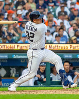 Eduardo Valencia Autographed 16x20 #1 - Batting (Vertical) (Pre-Order)