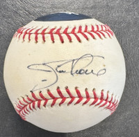 Jim Thome Autographed Hand Painted Chicago White Sox Official Major League Baseball