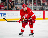 Viktor Arvidsson Autographed Detroit Red Wings 16x20 Photo #1 (Pre-Order)