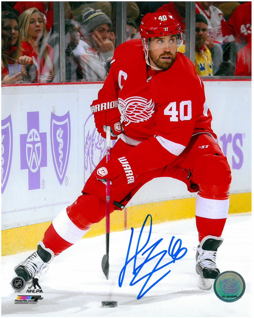 Detroit Red Wings 8x10 Photo 