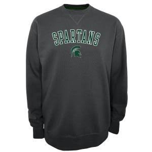 champion michigan sweatshirt