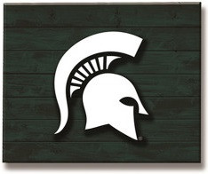 Michigan State University Team Sports America Lit Wall Decor
