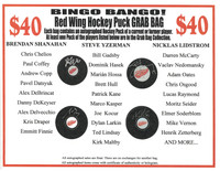 Bingo Bango! Autographed Detroit Red Wings Mystery Puck Grab Bag