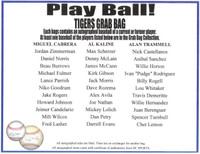 Play Ball! Autographed Detroit Tigers Mystery Baseball Grab Bag