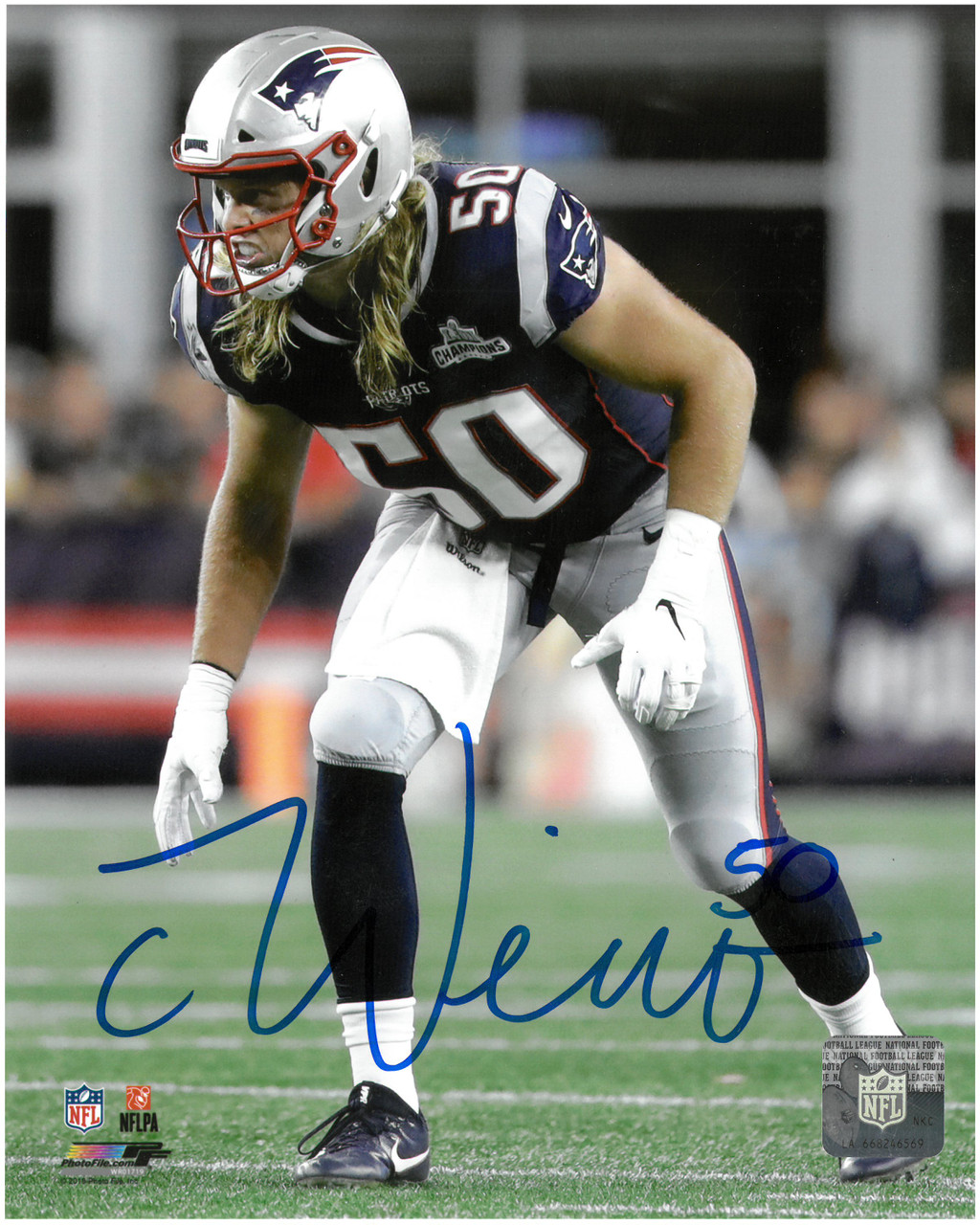 CHASE WINOVICH NEW ENGLAND PATRIOTS ACTION SIGNED 8x10 PHOTO