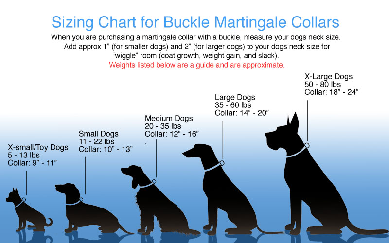 Big Dog Size Chart
