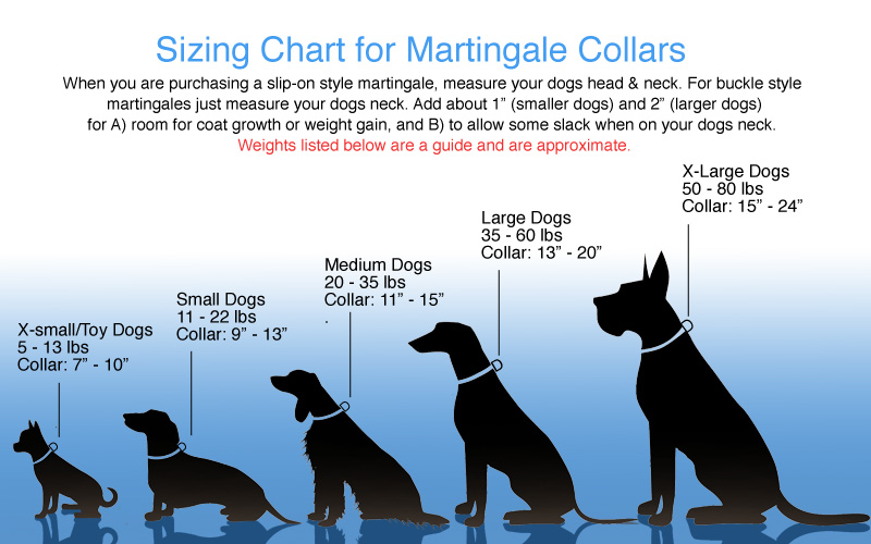 Dog Collar Sizing Help | List of Neck Sizes by Dog Breed