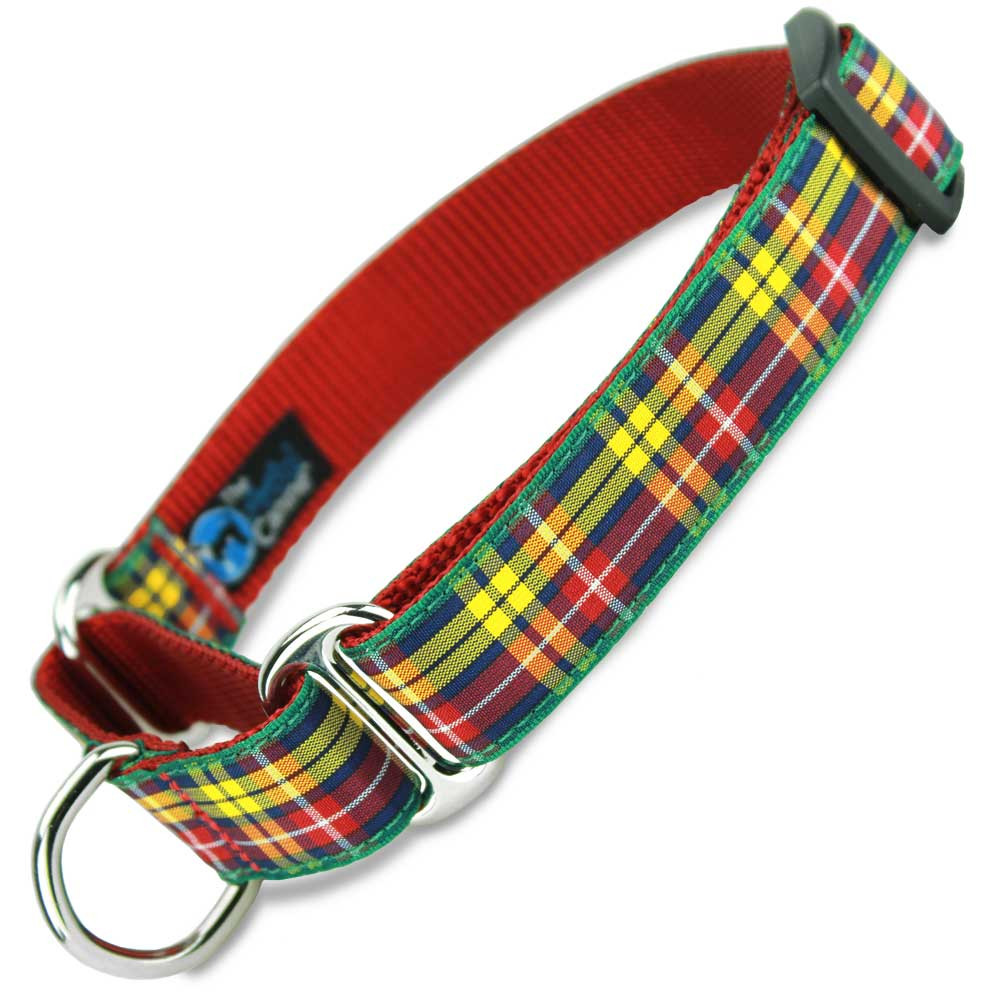 martingale collar the artful canine martingale collar the artful canine